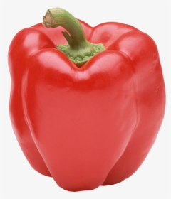 Paprika Png Download Image - Red Bell Pepper Png, Transparent Png, Transparent PNG