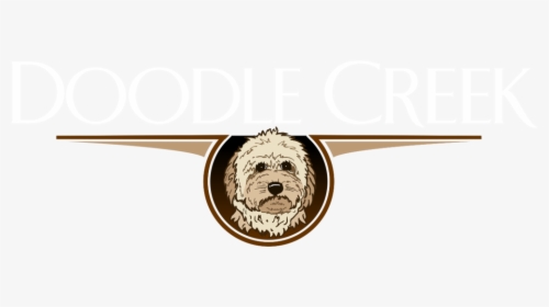 Doodle Transparent No Background - Goldendoodle, HD Png Download, Transparent PNG