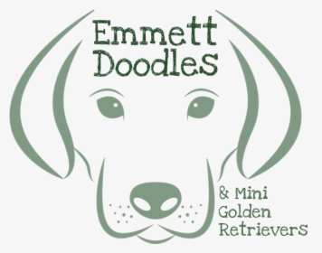 Emmett Goldendoodles And Mini Golden Retrievers - English Foxhound, HD Png Download, Transparent PNG