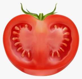 Transparent Cucumber Slices Png - Sliced Tomato Png, Png Download, Transparent PNG