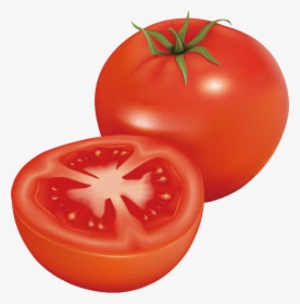 Tomato Clip Art - Dürfen Wellensittiche Tomaten Essen, HD Png Download, Transparent PNG
