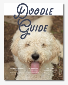Doodle Guide Cover - Labradoodle, HD Png Download, Transparent PNG