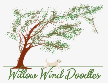 Willow Wind Doodles - Calligraphy, HD Png Download, Transparent PNG