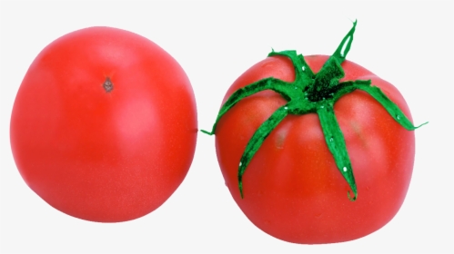 Tomato Vegetable Eating Food Melon - Tomato, HD Png Download, Transparent PNG