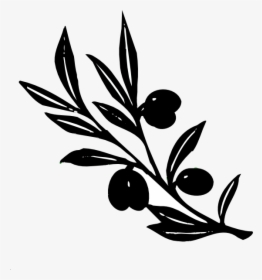 Transparent Greek Leaves Png - Black Olive Branch Clipart, Png Download, Transparent PNG