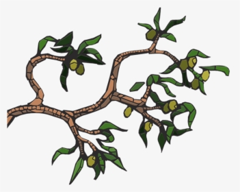Olive Tree Clip Art - Illustration, HD Png Download, Transparent PNG