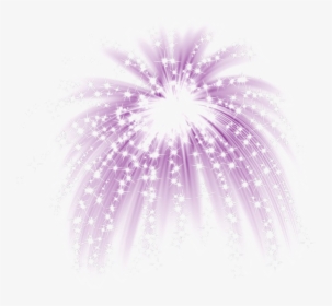Fireworks Png Image Background - African Daisy, Transparent Png, Transparent PNG