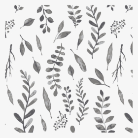 Leaves Crib Sheet - Russian Olive, HD Png Download, Transparent PNG