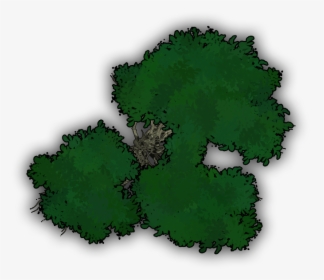 Transparent Hidden Leaf Village Symbol Png - Rpg Tree Token, Png Download, Transparent PNG