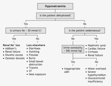 Hyponatraemia Causes, HD Png Download, Transparent PNG