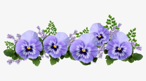 Flowers, Pansies, Lavender, Maiden Hair Fern - Pansies Png, Transparent Png, Transparent PNG