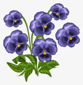 Transparent Pansy Png - African Violet Flower Clip Art, Png Download, Transparent PNG