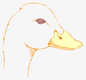 Transparent Duck Face Png - Drawing Of A Duck Head, Png Download, Transparent PNG