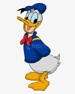 Attractive Donald Duck Png Png Images - Donald Duck Cartoon Drawing, Transparent Png, Transparent PNG