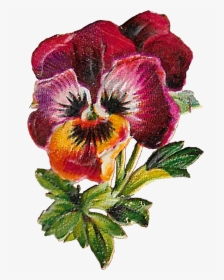 Floral Clipart Image Flower Pansy Purple Digital Download - Artificial Flower, HD Png Download, Transparent PNG