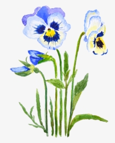 Pansy, HD Png Download, Transparent PNG