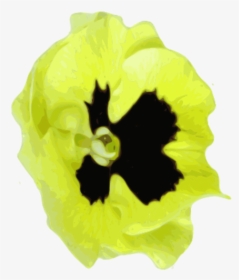 Corn Poppy, HD Png Download, Transparent PNG