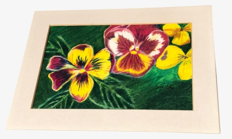 Drawing Orchid Coloured Pencil - Pansy, HD Png Download, Transparent PNG