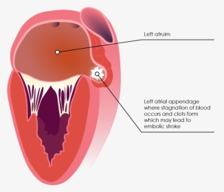 Mouth Blood Png, Transparent Png, Transparent PNG