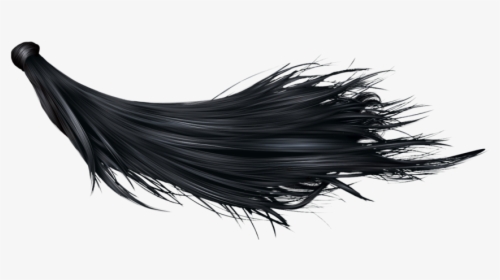 Hair Transparent Background - Black Long Hair Png, Png Download , Transparent  Png Image - PNGitem