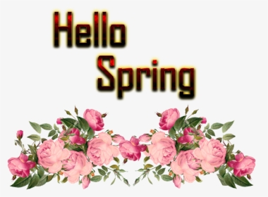 Hello Spring Png Free Background - Pink Rose Border Png, Transparent Png, Transparent PNG