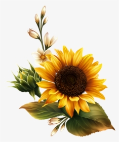 Sunflower Watercolor Png - Real Sunflower Transparent Background, Png Download, Transparent PNG