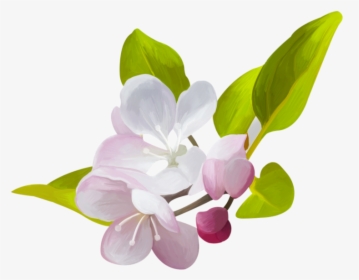 Скрап Набор «hello Spring» - Цветущая Яблоня Png, Transparent Png, Transparent PNG