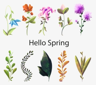Transparent Spring Flower Png - Watercolor Flowers And Plants, Png Download, Transparent PNG