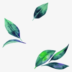 Watercolor Leaf Clipart , Png Download - Transparent Background Leaves Png, Png Download, Transparent PNG