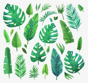 #jungle #jungleleaf #jungleleaves #leaf #leaves #green - Watercolor Jungle Plant Png, Transparent Png, Transparent PNG
