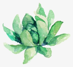 #watercolor #plant #aesthetic #suculent - Watercolor Plant Png, Transparent Png, Transparent PNG