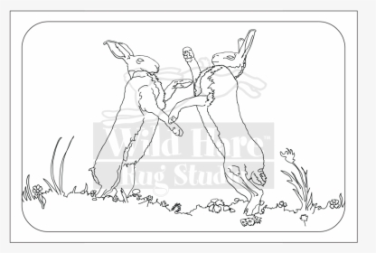 Hares Drawing Wild Hare - Line Art, HD Png Download, Transparent PNG