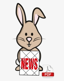 Redvales Rabbit News Image - Domestic Rabbit, HD Png Download, Transparent PNG