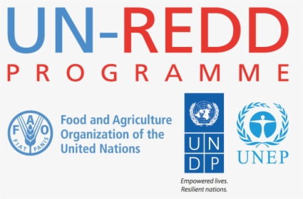 Un Redd Programme Logo, HD Png Download, Transparent PNG