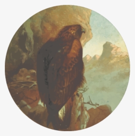 Eagle,fauna,feathered Favourites British Birds - Red-tailed Hawk, HD Png Download, Transparent PNG