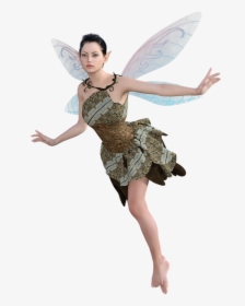 Fairy Png - Real Fairies Png, Transparent Png, Transparent PNG