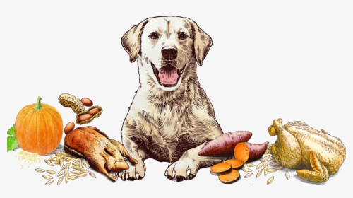 Blissful Biscuit Art - Dog Yawns, HD Png Download, Transparent PNG