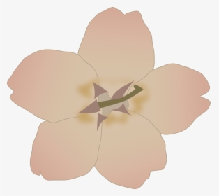 Petal,plant,flower - Purple Flower Clip Art, HD Png Download, Transparent PNG