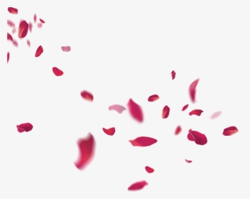 Petal Flower Beach Transprent - Falling Rose Petals Png, Transparent Png, Transparent PNG