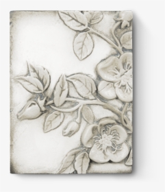 Sketch, HD Png Download, Transparent PNG