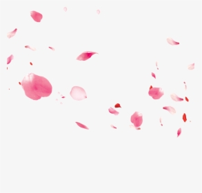 falling rose petals png