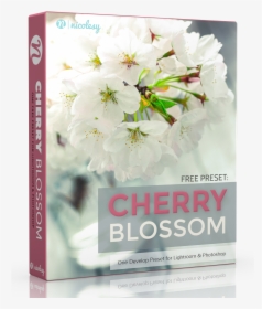 Free Lightroom Preset - Free Lightroom Preset Cherry Blossom, HD Png Download, Transparent PNG