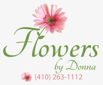 Flowers By Donna - African Daisy, HD Png Download, Transparent PNG