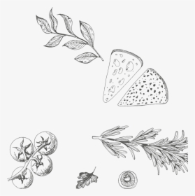 A - Pizza Ingredients Draw Png Transparent, Png Download, Transparent PNG