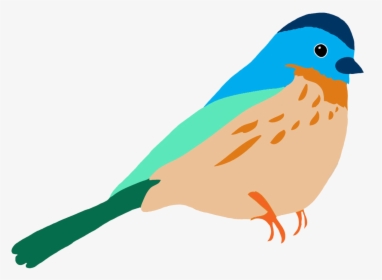 Graasisken Colored - Bird Drawing Colour Png, Transparent Png, Transparent PNG