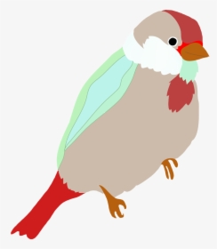 Sparrow Colored - Colored Bird Logo Png, Transparent Png, Transparent PNG