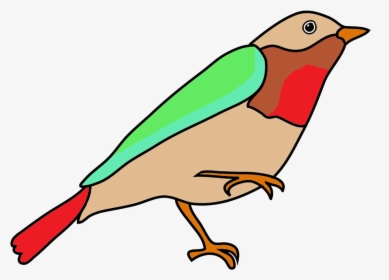Dendroica Colored Fantasy Colors - Birds Sketches With Colors, HD Png Download, Transparent PNG