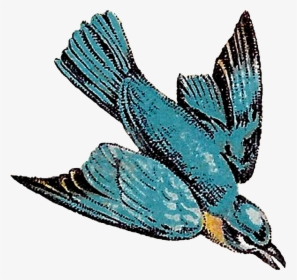 Vintage Bird Flying Illustration, HD Png Download, Transparent PNG