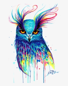 T-shirt Owl Painting Bird Drawing Free Download Image - Pixie Cold Owl, HD Png Download, Transparent PNG