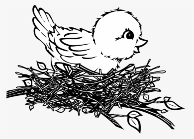 Transparent Bird Drawing Png - Birds Nest Drawing Easy, Png Download, Transparent PNG